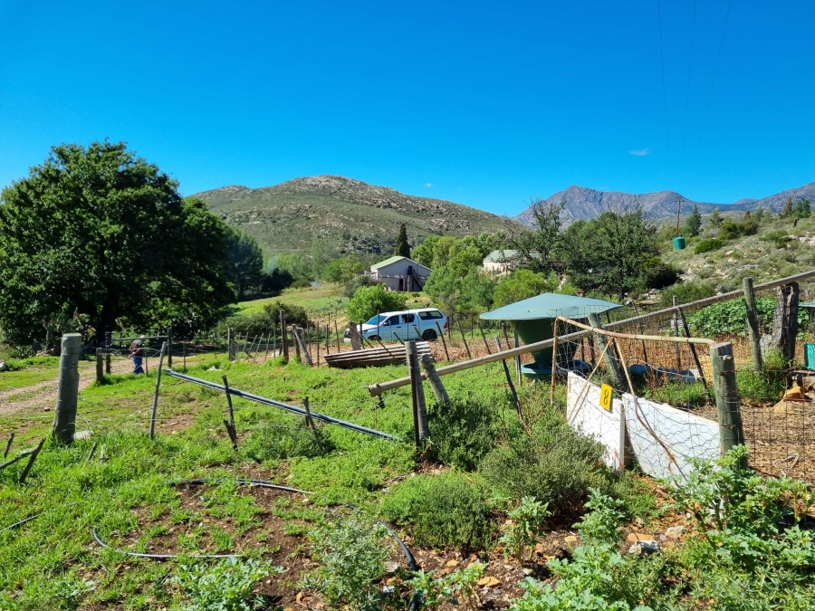 0 Bedroom Property for Sale in Haarlem Western Cape